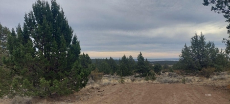 Bordering US Forest Service/362 Acres/Home Site/Wildlife - image 9
