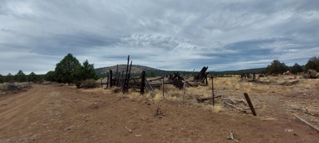 Bordering US Forest Service/362 Acres/Home Site/Wildlife - image 16