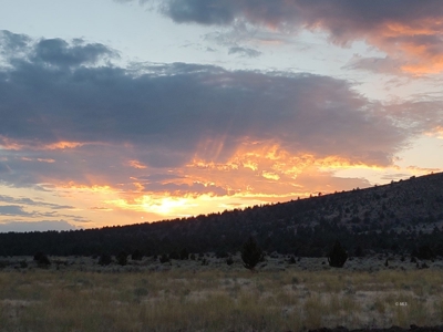 Bordering US Forest Service/362 Acres/Home Site/Wildlife - image 2