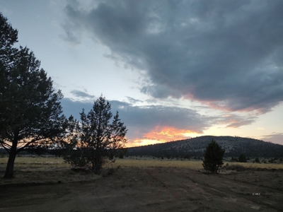 Bordering US Forest Service/362 Acres/Home Site/Wildlife - image 27
