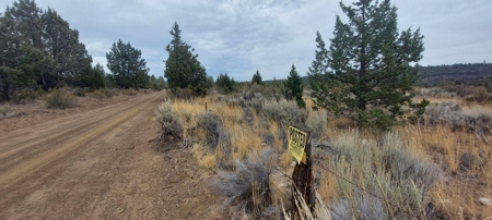 Bordering US Forest Service/362 Acres/Home Site/Wildlife - image 14
