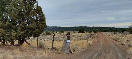 Bordering US Forest Service/362 Acres/Home Site/Wildlife - image 1