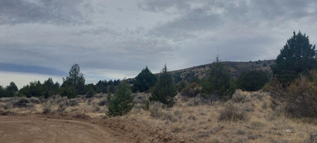 Bordering US Forest Service/362 Acres/Home Site/Wildlife - image 11