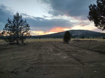 Bordering US Forest Service/362 Acres/Home Site/Wildlife - image 22
