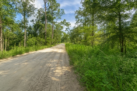 Recreational Land Lots For Sale by the Suwannee River - image 2