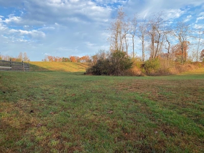 Lot with Lake Access for Sale in Union Hall VA - image 8