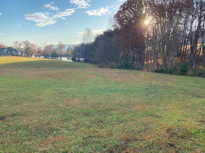 Lot with Lake Access for Sale in Union Hall VA - image 5