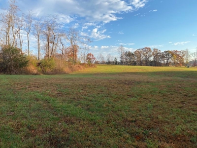 Lot with Lake Access for Sale in Union Hall VA - image 7