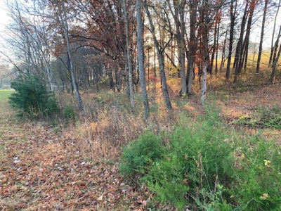 Lot with Lake Access for Sale in Union Hall VA - image 9