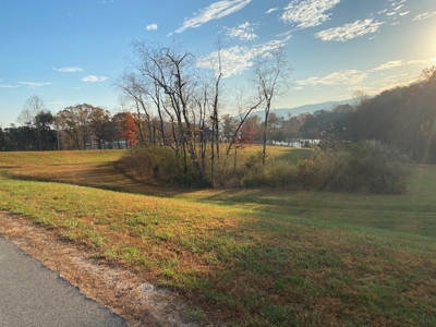 Lot with Lake Access for Sale in Union Hall VA - image 4