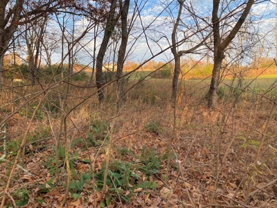 Lot with Lake Access for Sale in Union Hall VA - image 12