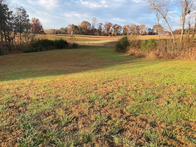 Lot with Lake Access for Sale in Union Hall VA - image 13