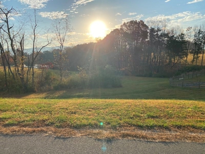 Lot with Lake Access for Sale in Union Hall VA - image 3