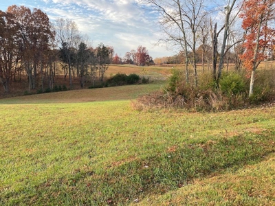 Lot with Lake Access for Sale in Union Hall VA - image 16
