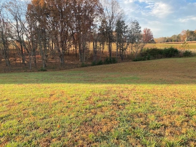 Lot with Lake Access for Sale in Union Hall VA - image 14