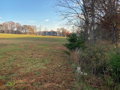 Lot with Lake Access for Sale in Union Hall VA - image 6