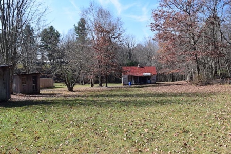 Recreational Land for Sale in Floyd VA! - image 7