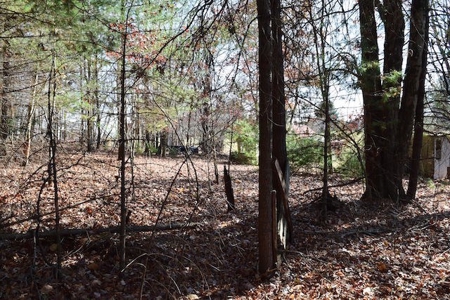 Recreational Land for Sale in Floyd VA! - image 11
