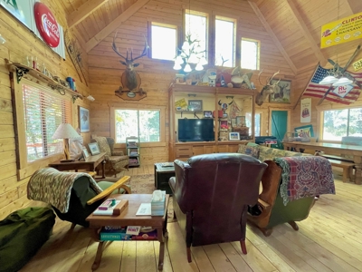 Rocky Mountain Colorado Cabin for Sale - image 32