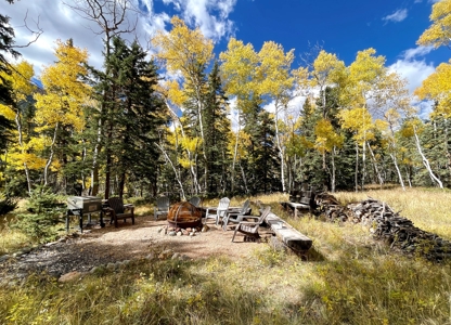 Rocky Mountain Colorado Cabin for Sale - image 6