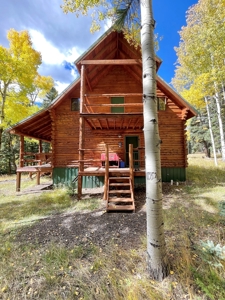 Rocky Mountain Colorado Cabin for Sale - image 5
