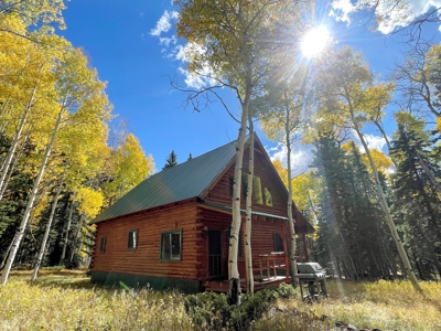 Rocky Mountain Colorado Cabin for Sale - image 8