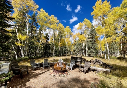 Rocky Mountain Colorado Cabin for Sale - image 7
