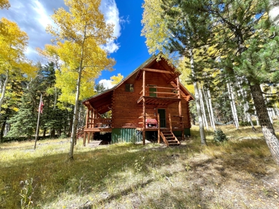 Rocky Mountain Colorado Cabin for Sale - image 4