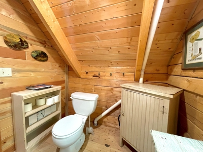 Rocky Mountain Colorado Cabin for Sale - image 18