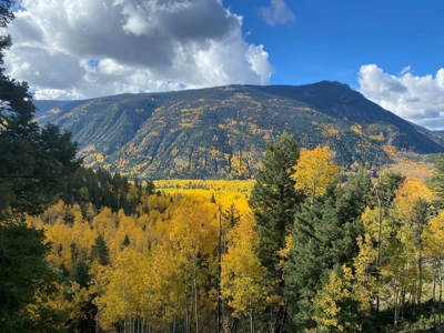 Rocky Mountain Colorado Cabin for Sale - image 25