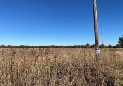 Land For Sale Near Blair, OK - image 2