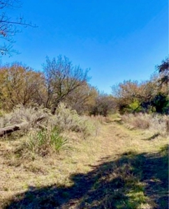 Land For Sale Near Blair, OK - image 4