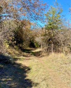 Land For Sale Near Blair, OK - image 3