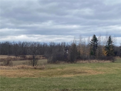 1 Bedroom Hunting Cabin on 40 Acres For Sale in McGrath MN - image 15