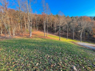 Log Cabin With 26 Acres For Sale Overlooking New River In VA - image 49