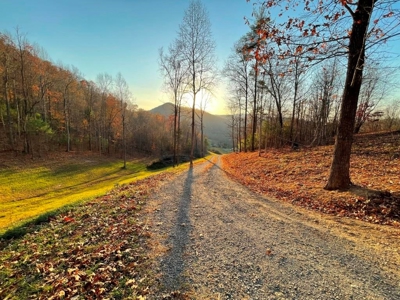 Log Cabin With 26 Acres For Sale Overlooking New River In VA - image 45