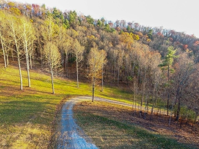 Log Cabin With 26 Acres For Sale Overlooking New River In VA - image 46