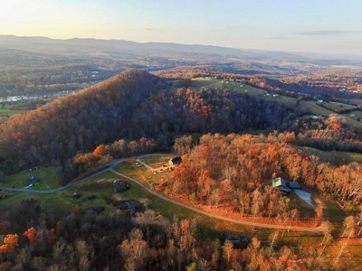 Log Cabin With 26 Acres For Sale Overlooking New River In VA - image 5