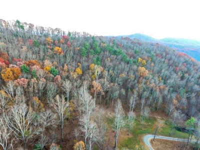 Log Cabin With 26 Acres For Sale Overlooking New River In VA - image 47