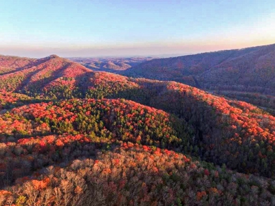 Log Cabin With 26 Acres For Sale Overlooking New River In VA - image 48