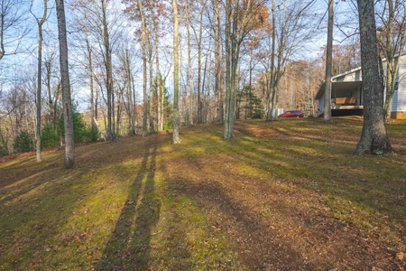 Income Producing Property for Sale in Willis VA - image 12