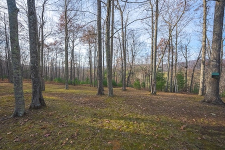 Income Producing Property for Sale in Willis VA - image 10