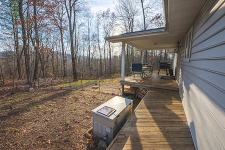 Income Producing Property for Sale in Willis VA - image 20
