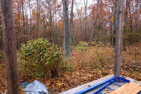 Cabin and 8+/- Acres in Alton Missouri - image 2