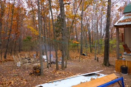 Cabin and 8+/- Acres in Alton Missouri - image 5