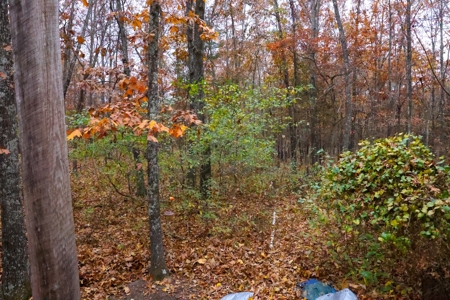 Cabin and 8+/- Acres in Alton Missouri - image 1