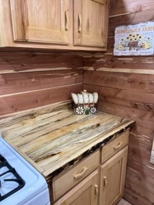 Cabin and 8+/- Acres in Alton Missouri - image 9
