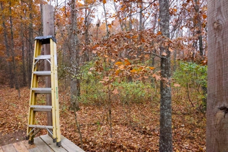Cabin and 8+/- Acres in Alton Missouri - image 3
