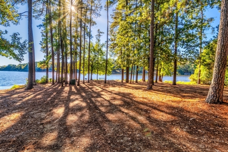 Waterfront Holly Lake Ranch East Texas  4/3.5/3 On 2 Acres - image 1