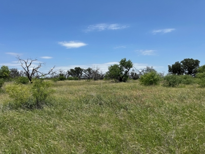 Home Lot 782 in King's Point Cove Resort Lake Brownwood, TX - image 44